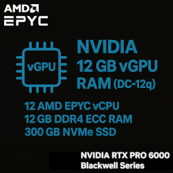 vGPU-Server miete